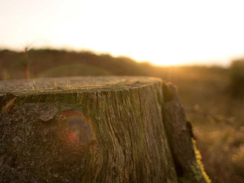 accessibility screenshot 1